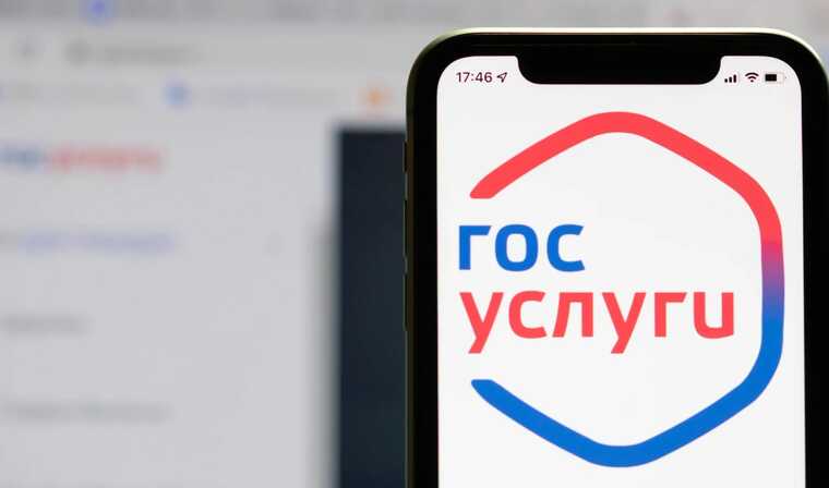 Подозреваемые в хищении 400 миллионов рублей с помощью «Госуслуг» задержаны