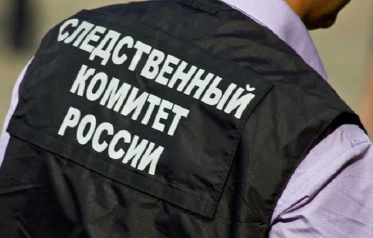 В Ленинградской области начато расследование после угроз журналистке
