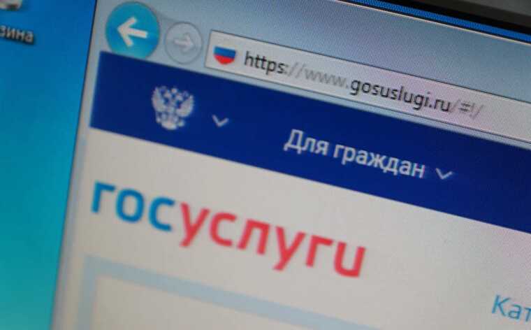 Узбекистанец незаконно регистрировал иностранных граждан через взломанные аккаунты «Госуслуг»