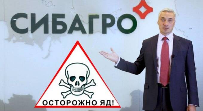 «Сибагро» свиновода Андрея Тютюшева: как россиян кормят отравой вместо мяса tidttiqzqiqkdkmp